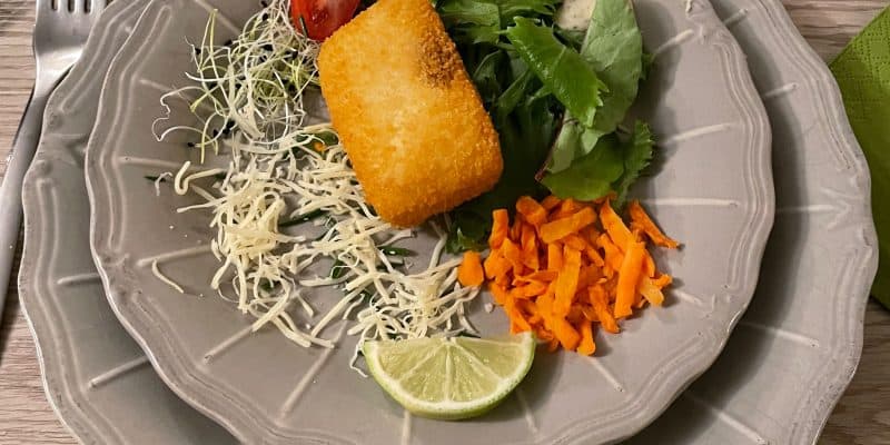 Nachtelijke Uitjes: Avonturen Na Zonsondergang!