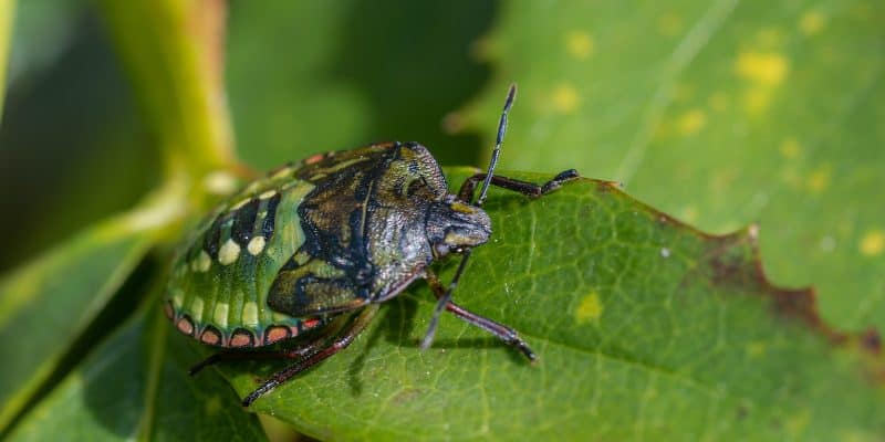 De 7 Meest Exotische Bedrijfsuitjes Die Je Niet Mag Missen!