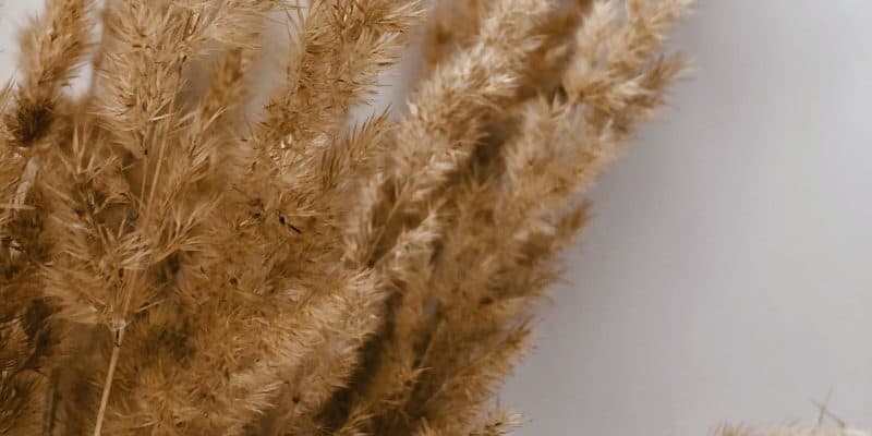 Bedrijfsuitjes Met Een Educatief Tintje: Leren En Plezier In Één!