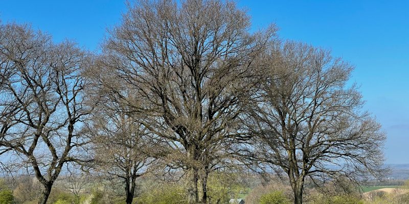 Mysterieuze Uitjes: Laat Je Team Een Onopgeloste Zaak Oplossen!